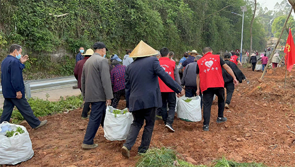 罗波乡乡村治理中的民主“大合唱”——记眉山试点人大代表助力乡村治理全过程_fororder_罗波乡西坝村开展道路绿化专项行动-摄影-张琬沁