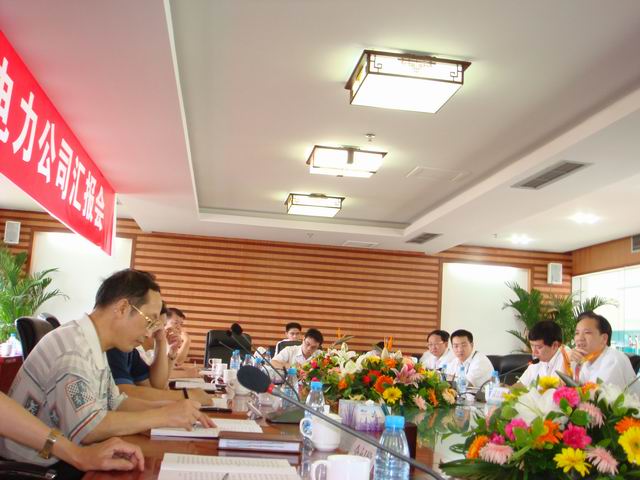 市人大常委会视察市电力公司